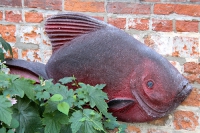 Augen auf in Buxtehude