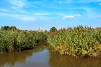 Mit der Barkasse in die Hansestadt Buxtehude