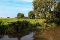 Mit der Barkasse in die Hansestadt Buxtehude