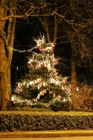 winterliche und weihnachtliche Hansestadt Buxtehude