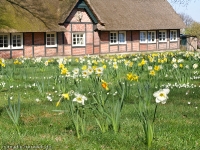 Architektur und Kultur im Alten Land