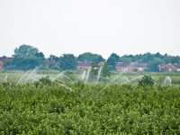 Natur_im_alten_land_AA086234