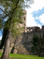 Burgruine Hanstein