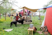 blidenfest-2013_IIMG_1425