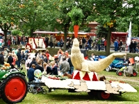 2011 Festwagen Platz 3