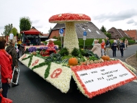 2011 grosse Festwagen