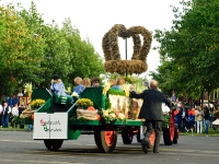 2011 grosse Festwagen