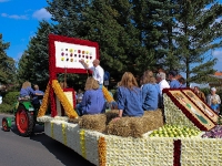 Erntedankfest Bardowick 2012 - grosse Festwagen