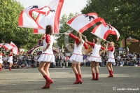 Berliner Fahnenschwinger