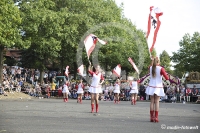 Berliner Fahnenschwinger