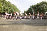 Berliner Fahnenschwinger