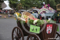 Jugend2018