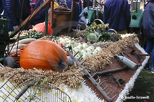 weitere Festwagen