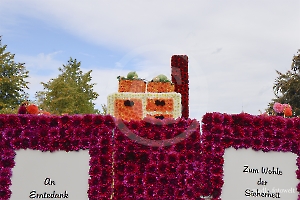 mfw25_0217496