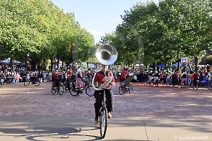 Bicycle Showband Crescendo