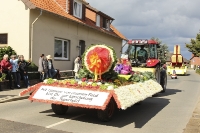 Festwagen - 2013