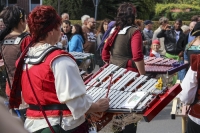 Erntedankfest Bardowick 2013 - Freibeutermukke