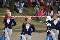 Musikzuege 2013