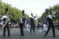 Musikzuege 2013