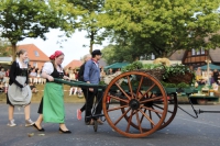 Festwagen Siegerehrung - 2014