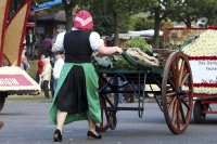 Festwagen Siegerehrung - 2014