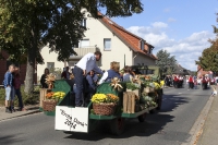 Festwagen Umzug - 2014