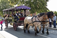 Festwagen Umzug - 2014