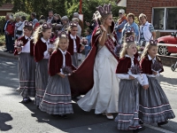 Festwagen Umzug - 2014