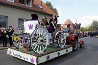 Festwagen Umzug - 2014