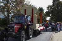 Festwagen Umzug - 2014