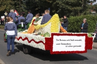 Festwagen Umzug - 2014