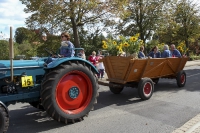 Festwagen Umzug - 2014