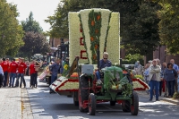 Festwagen Umzug - 2014