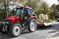 Festwagen Umzug - 2014