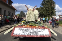 Festwagen Umzug - 2014