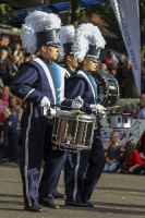 Showband 2000 - 2014