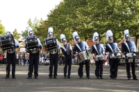 Showband 2000 - 2014