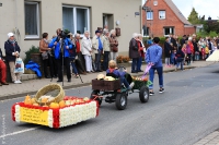 Festumzug 2015