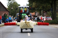 Festumzug 2015