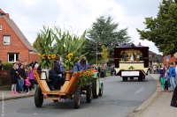 Festumzug 2015