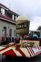 Festumzug 2015