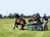 Fahrturnier 2009 in Trent auf Rügen