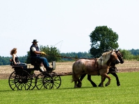 Fahrturnier 2009 in Trent auf Rügen