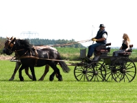 Fahrturnier 2009 in Trent auf Rügen