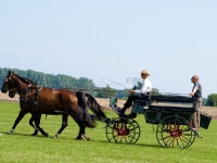 Fahrturnier 2009 in Trent auf Rügen