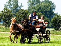 Fahrturnier 2009 in Trent auf Rügen