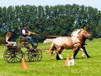 Fahrturnier 2009 in Trent auf Rügen