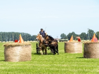 Fahrturnier 2009 in Trent auf Rügen