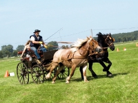 Fahrturnier 2009 in Trent auf Rügen