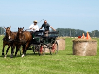 Fahrturnier 2009 in Trent auf Rügen